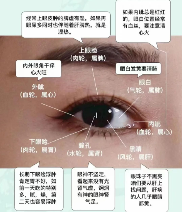 1710988389798809.png image.png