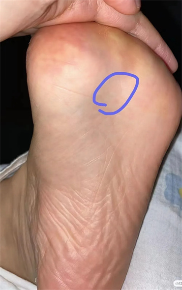1717739835191044.jpg