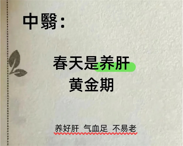 1742810103656106.jpg wx_fmt=jpeg&from=appmsg&tp=webp&wxfrom=5&wx_lazy=1&wx_co=1.jpg